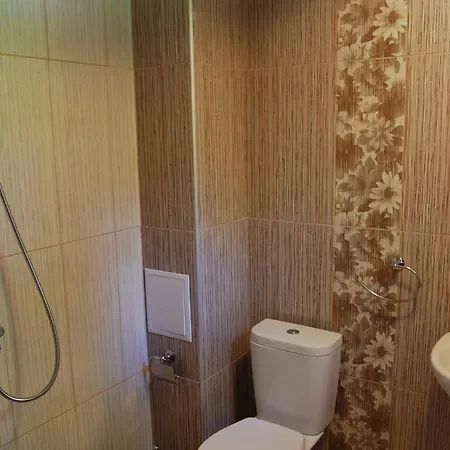 Guest house Savina 2*