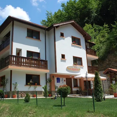 Savina Guest house Plachkovtsi